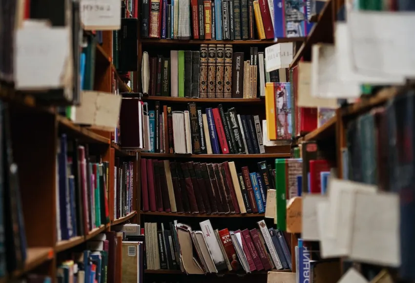 Blessing: A Heartwarming Collection of Lauraine Snelling Books in Order