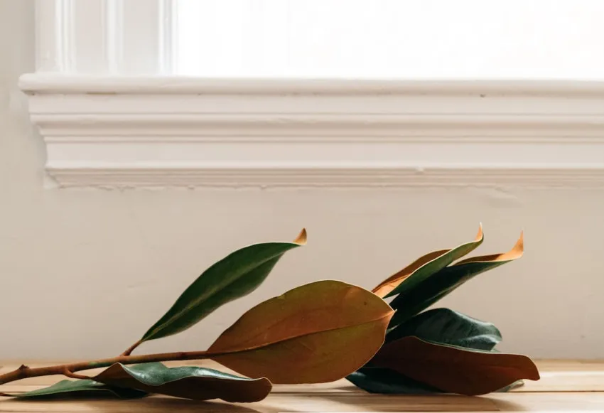 The Power of Hamsa Decor: Embrace Blessings and Protection in Style